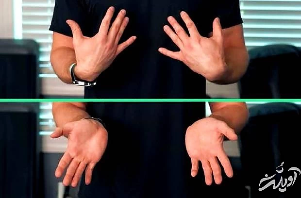 چرخش دست به داخل